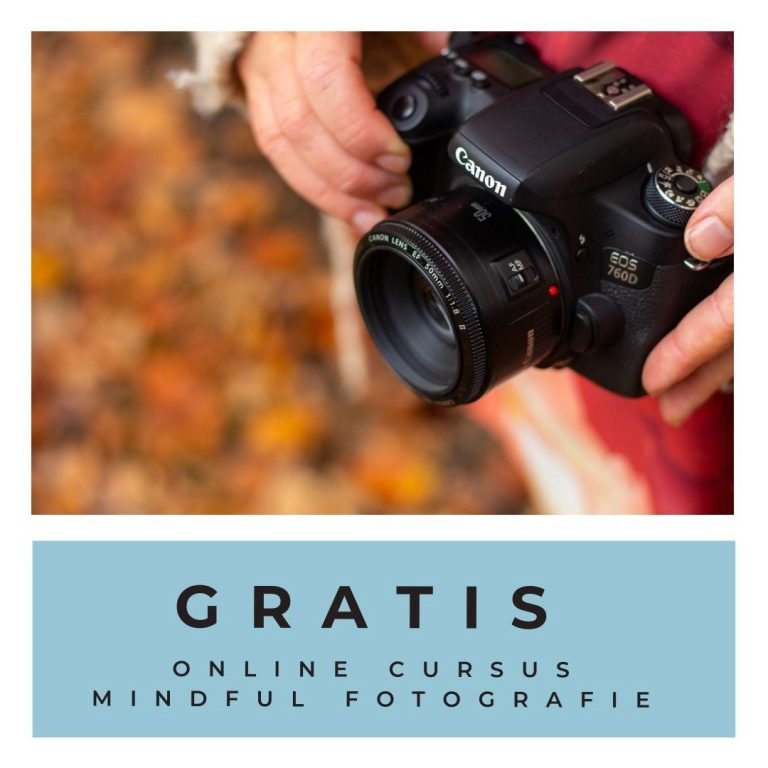 link naar gratis online les mindful fotografie